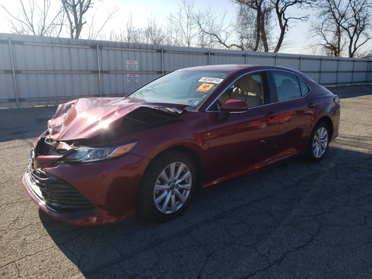 TOYOTA CAMRY 2020 4t1c11bk0lu019400