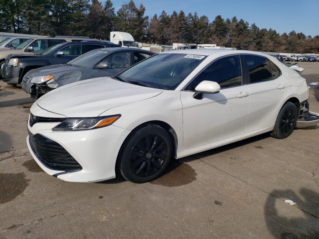 TOYOTA CAMRY 2020 4t1c11bk1lu008907