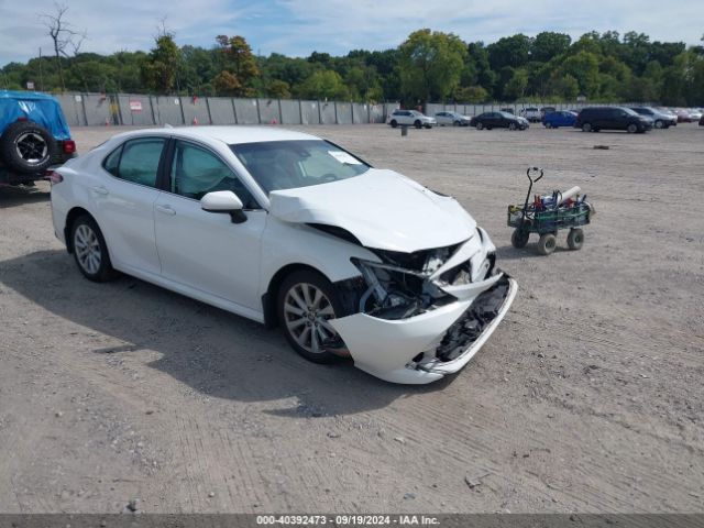 TOYOTA CAMRY 2020 4t1c11bk7lu005218