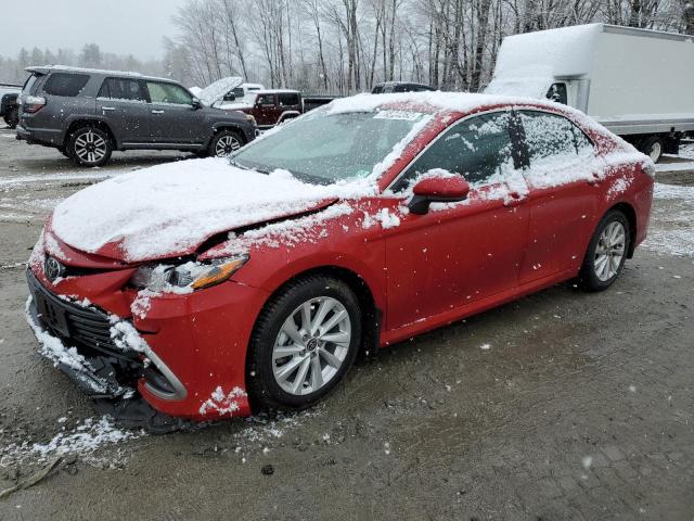 TOYOTA CAMRY LE 2023 4t1c11bk8pu073677