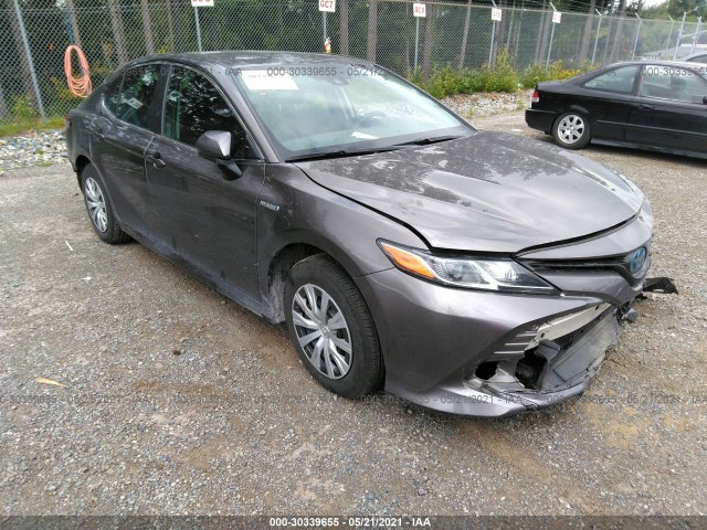 TOYOTA CAMRY 2020 4t1c31ak0lu535025