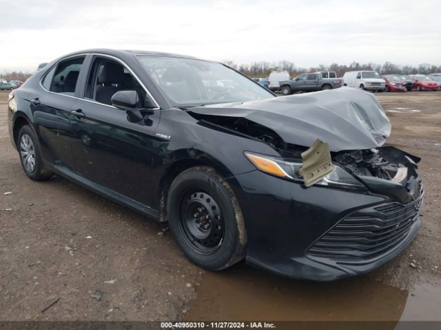 TOYOTA CAMRY 2020 4t1c31ak0lu535879