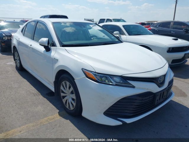 TOYOTA CAMRY 2020 4t1c31ak0lu541147