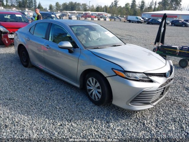 TOYOTA CAMRY 2022 4t1c31ak0nu574121