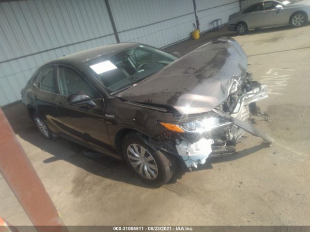 TOYOTA CAMRY 2020 4t1c31ak2lu525676