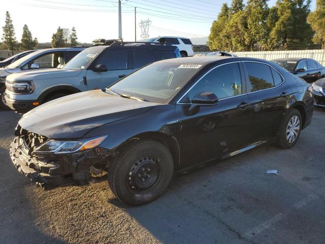 TOYOTA CAMRY 2020 4t1c31ak2lu538427