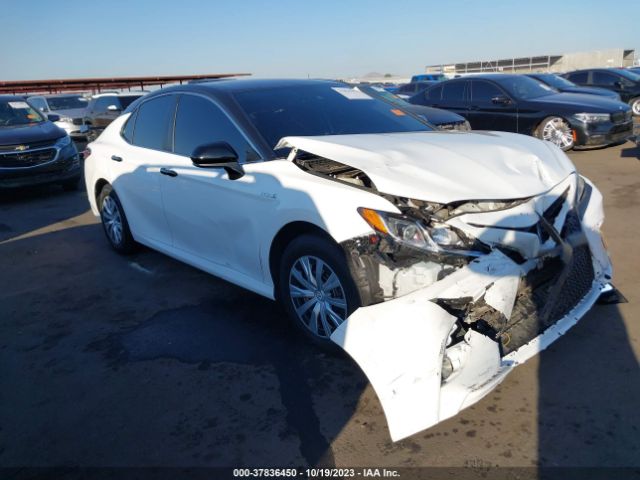 TOYOTA CAMRY 2020 4t1c31ak3lu018429