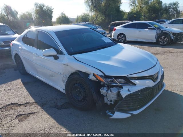 TOYOTA CAMRY 2020 4t1c31ak3lu538436