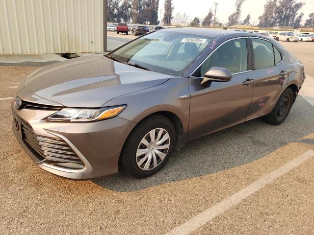 TOYOTA CAMRY LE 2021 4t1c31ak3mu022806