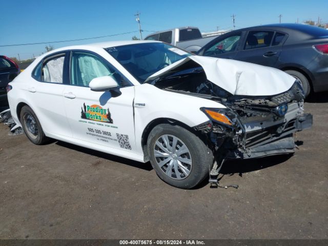 TOYOTA CAMRY 2021 4t1c31ak3mu026841