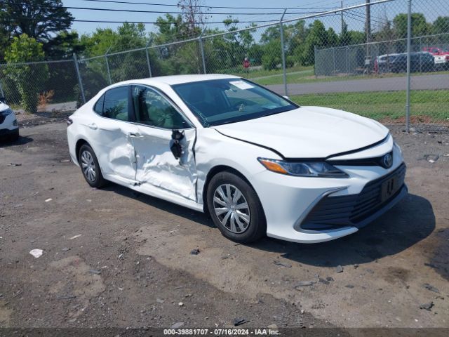 TOYOTA CAMRY 2024 4t1c31ak4ru074873