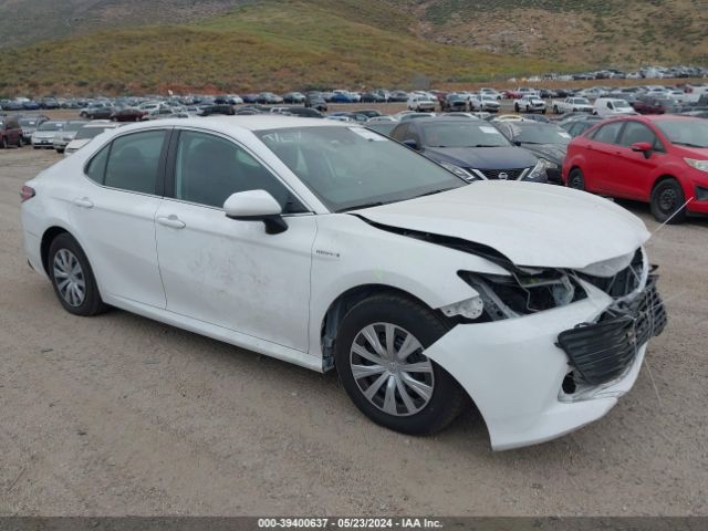 TOYOTA CAMRY 2020 4t1c31ak7lu012889