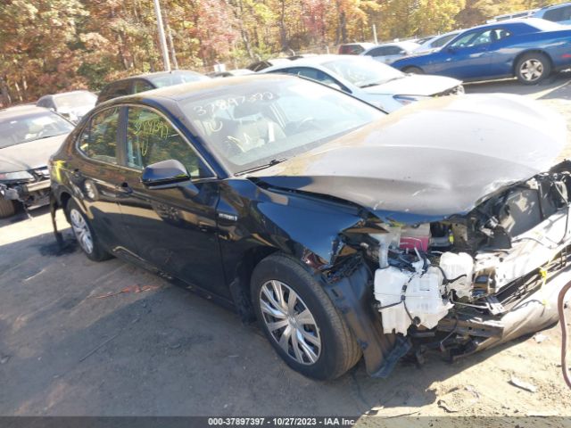 TOYOTA CAMRY 2020 4t1c31ak7lu518352