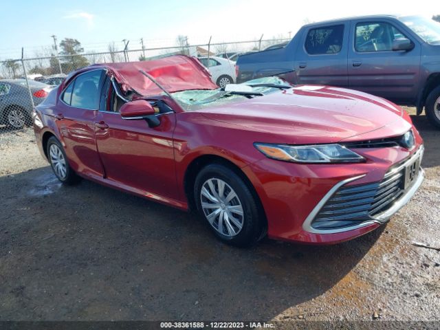 TOYOTA CAMRY 2022 4t1c31ak8nu588042