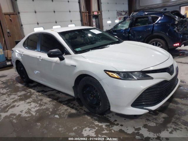 TOYOTA CAMRY 2020 4t1c31ak9lu018306