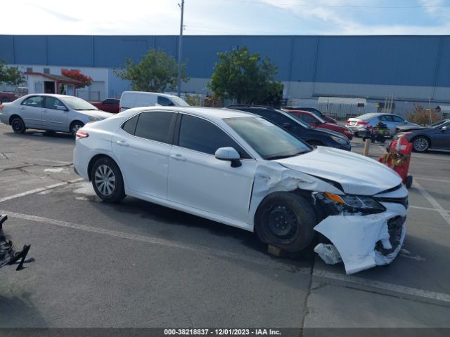 TOYOTA CAMRY 2020 4t1c31akxlu534190