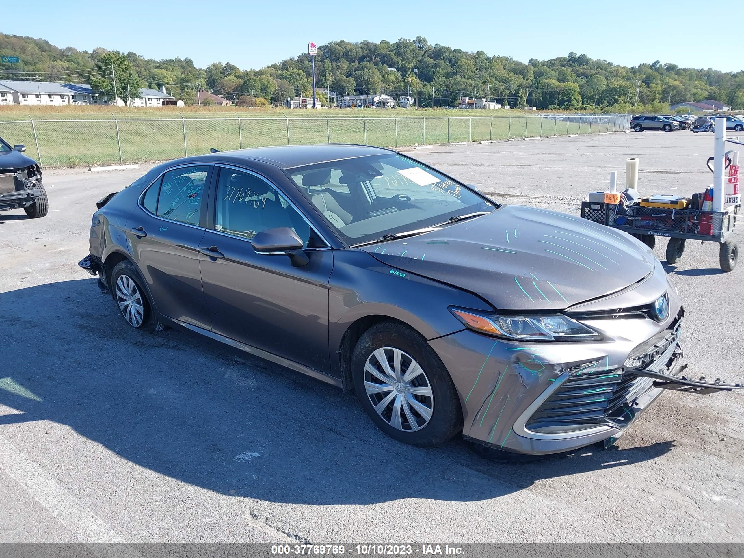 TOYOTA CAMRY 2022 4t1c31akxnu582114