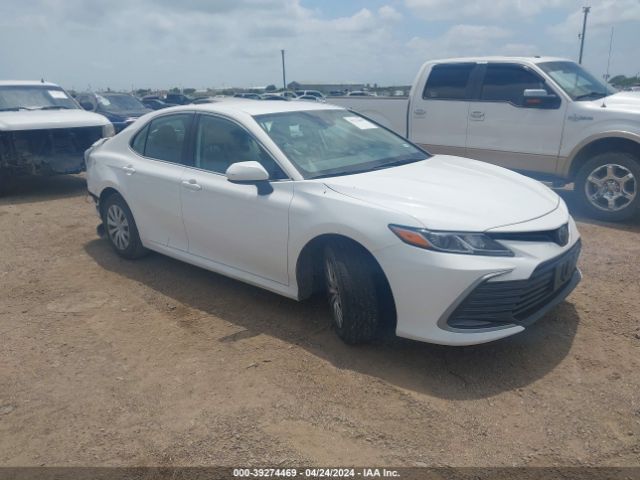 TOYOTA CAMRY 2023 4t1c31akxpu601067