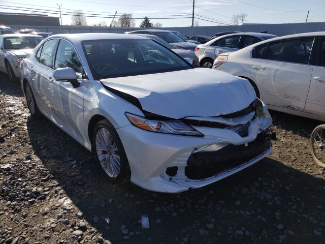 TOYOTA CAMRY XLE 2020 4t1f11ak1lu315203