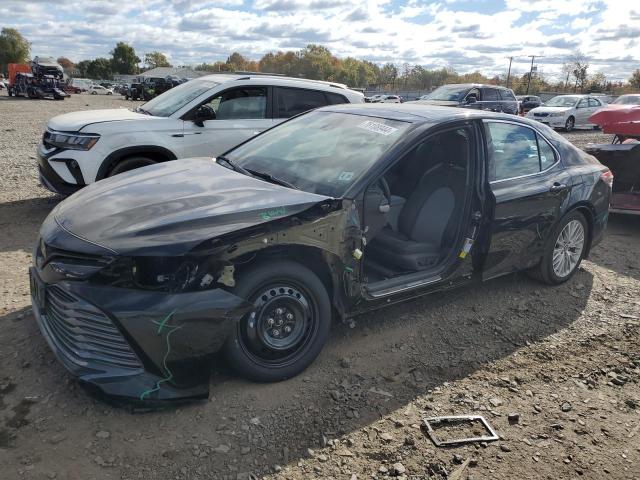 TOYOTA CAMRY XLE 2020 4t1f11ak2lu899255