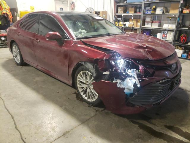 TOYOTA CAMRY XLE 2020 4t1f11ak9lu943137