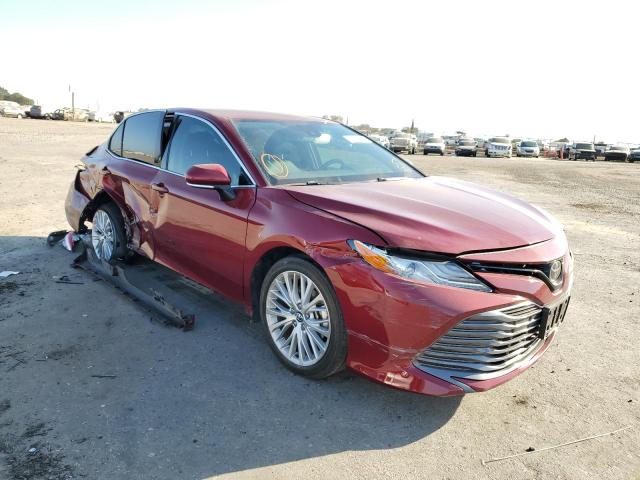 TOYOTA CAMRY XLE 2020 4t1f11akxlu321002