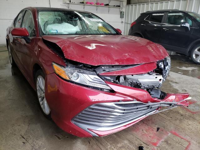 TOYOTA CAMRY XLE 2020 4t1f11akxlu885605