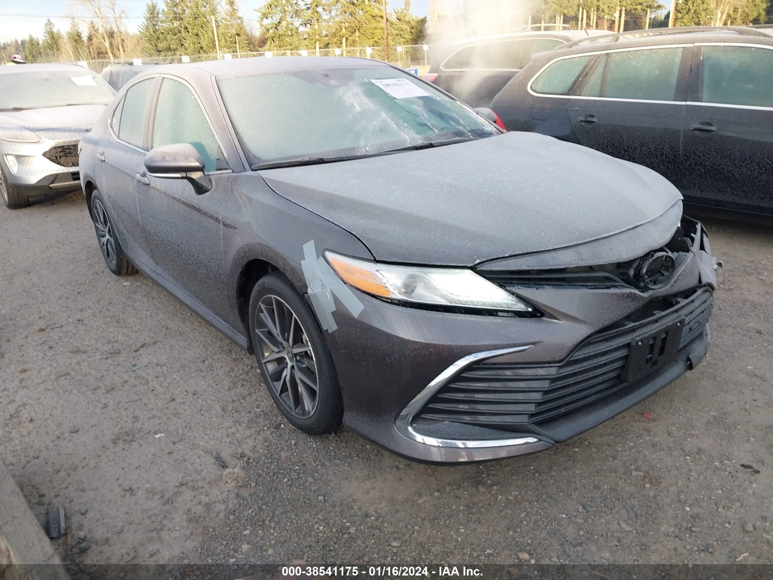 TOYOTA CAMRY 2024 4t1f11akxru855626