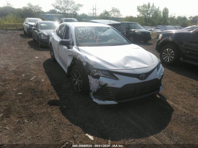 TOYOTA CAMRY 2023 4t1f11bk0pu098747