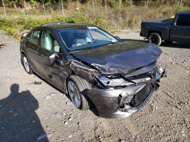 TOYOTA CAMRY XLE 2020 4t1f11bk1lu015675