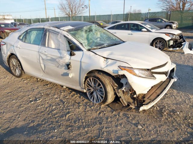 TOYOTA CAMRY 2020 4t1f11bk9lu015665