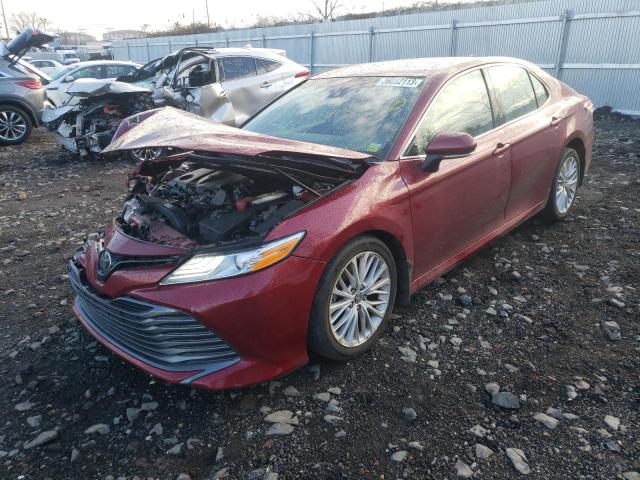 TOYOTA CAMRY XLE 2020 4t1f11bkxlu004237