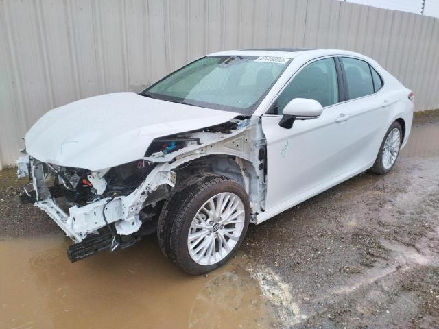 TOYOTA CAMRY XLE 2020 4t1f31ak0lu529657