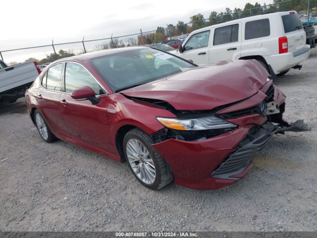 TOYOTA CAMRY 2020 4t1f31ak0lu546085