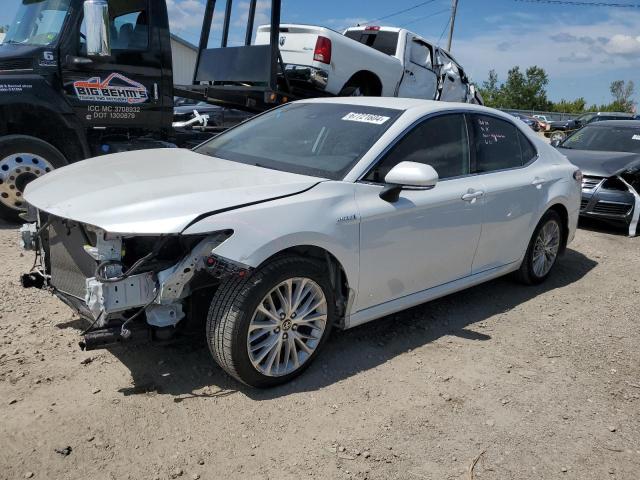 TOYOTA CAMRY XLE 2020 4t1f31ak1lu534558