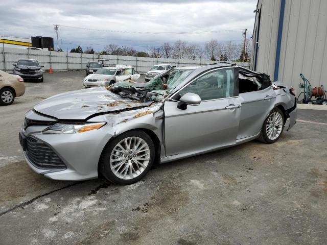 TOYOTA CAMRY XLE 2020 4t1f31ak1lu539162