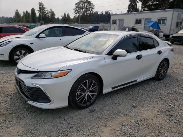 TOYOTA CAMRY XLE 2022 4t1f31ak1nu595816