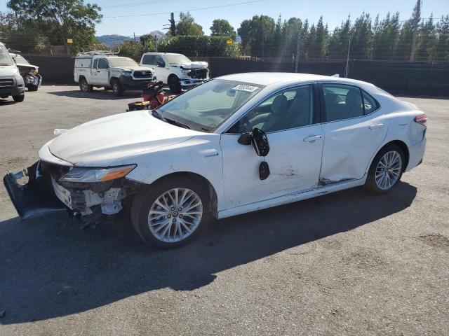 TOYOTA CAMRY XLE 2020 4t1f31ak4lu523909