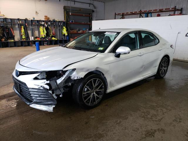 TOYOTA CAMRY XLE 2023 4t1f31ak5pu610885