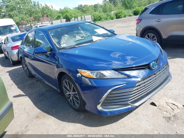 TOYOTA CAMRY 2023 4t1f31ak6pu045871