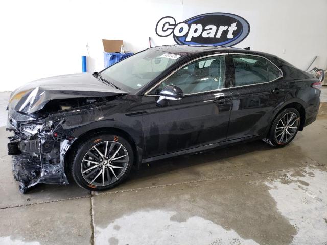 TOYOTA CAMRY XLE 2024 4t1f31ak7ru624788