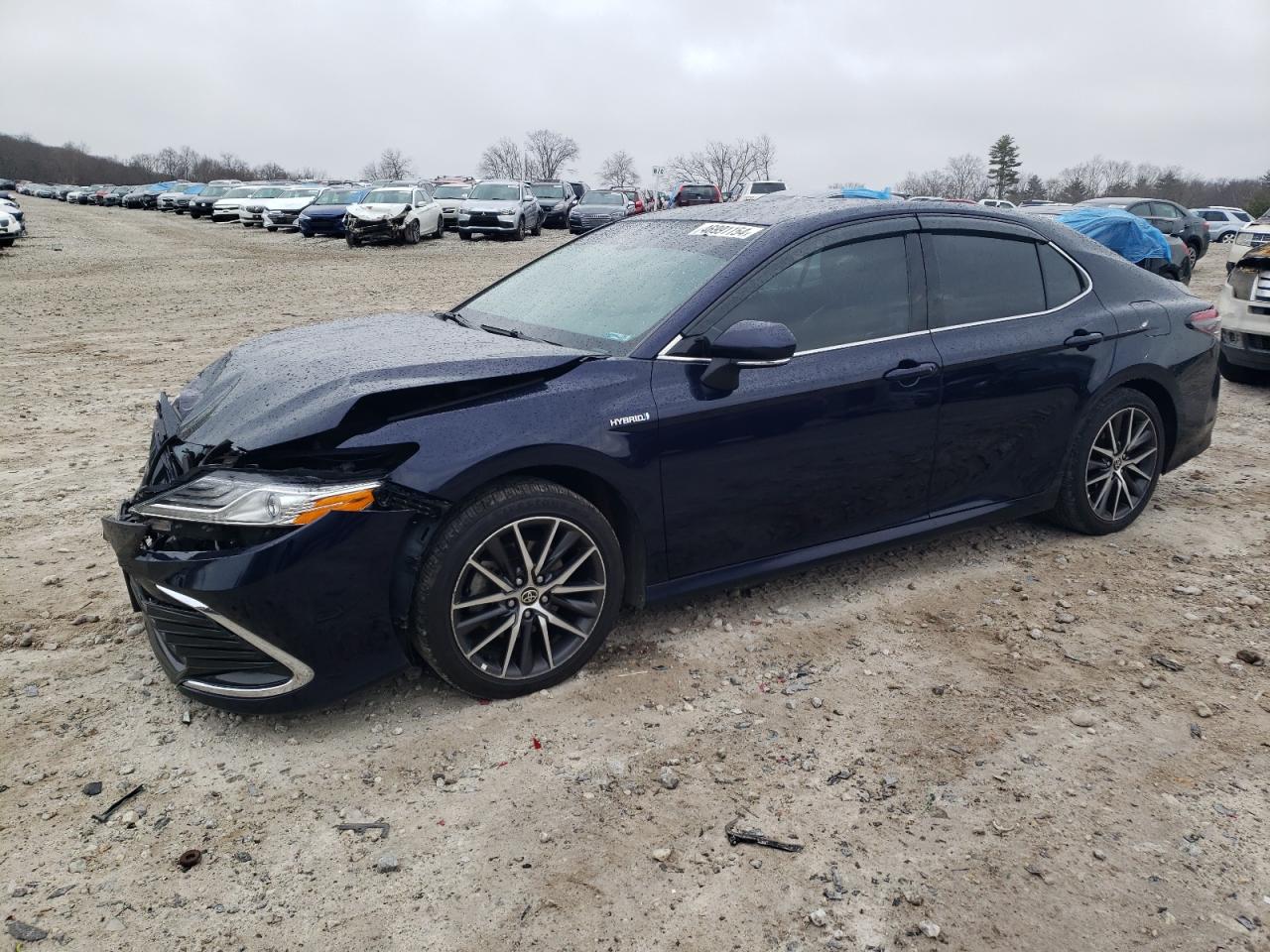 TOYOTA CAMRY 2021 4t1f31ak9mu548581