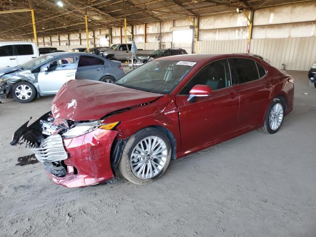 TOYOTA CAMRY XLE 2020 4t1f31akxlu525180