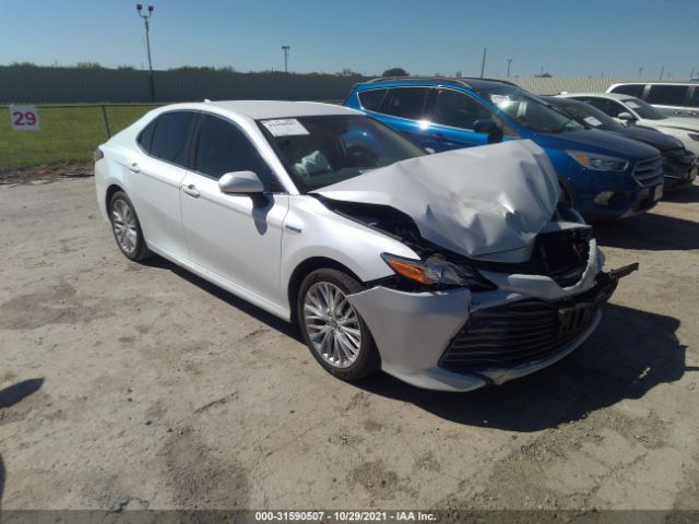 TOYOTA CAMRY 2020 4t1f31akxlu539399