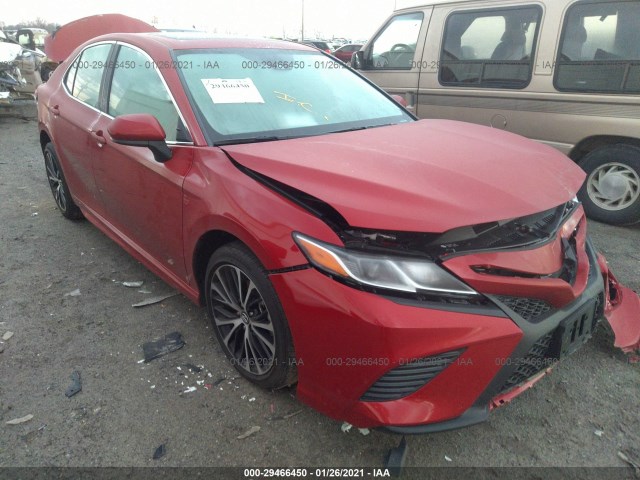 TOYOTA CAMRY 2020 4t1g11ak0lu352294