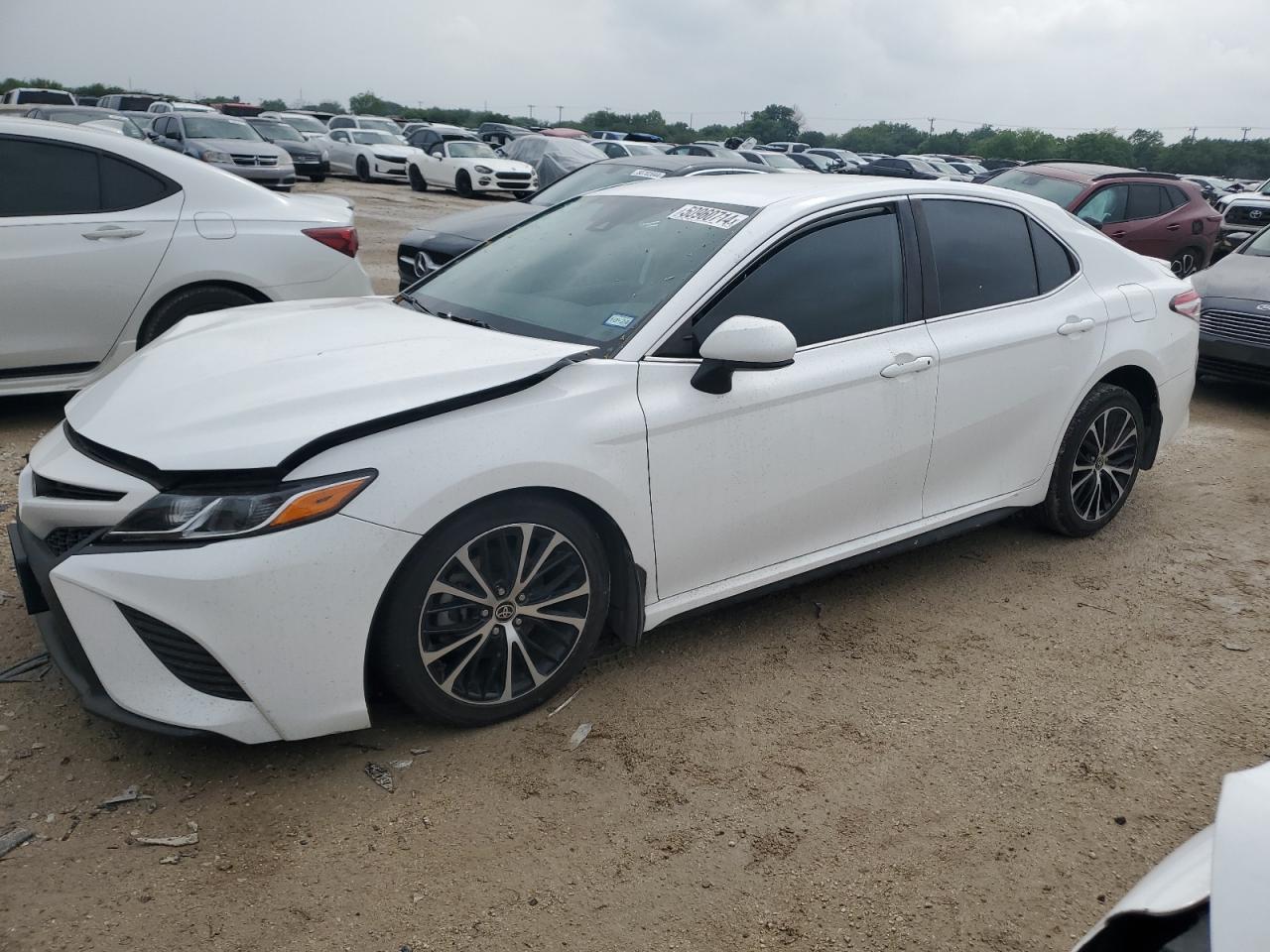 TOYOTA CAMRY 2020 4t1g11ak0lu975317