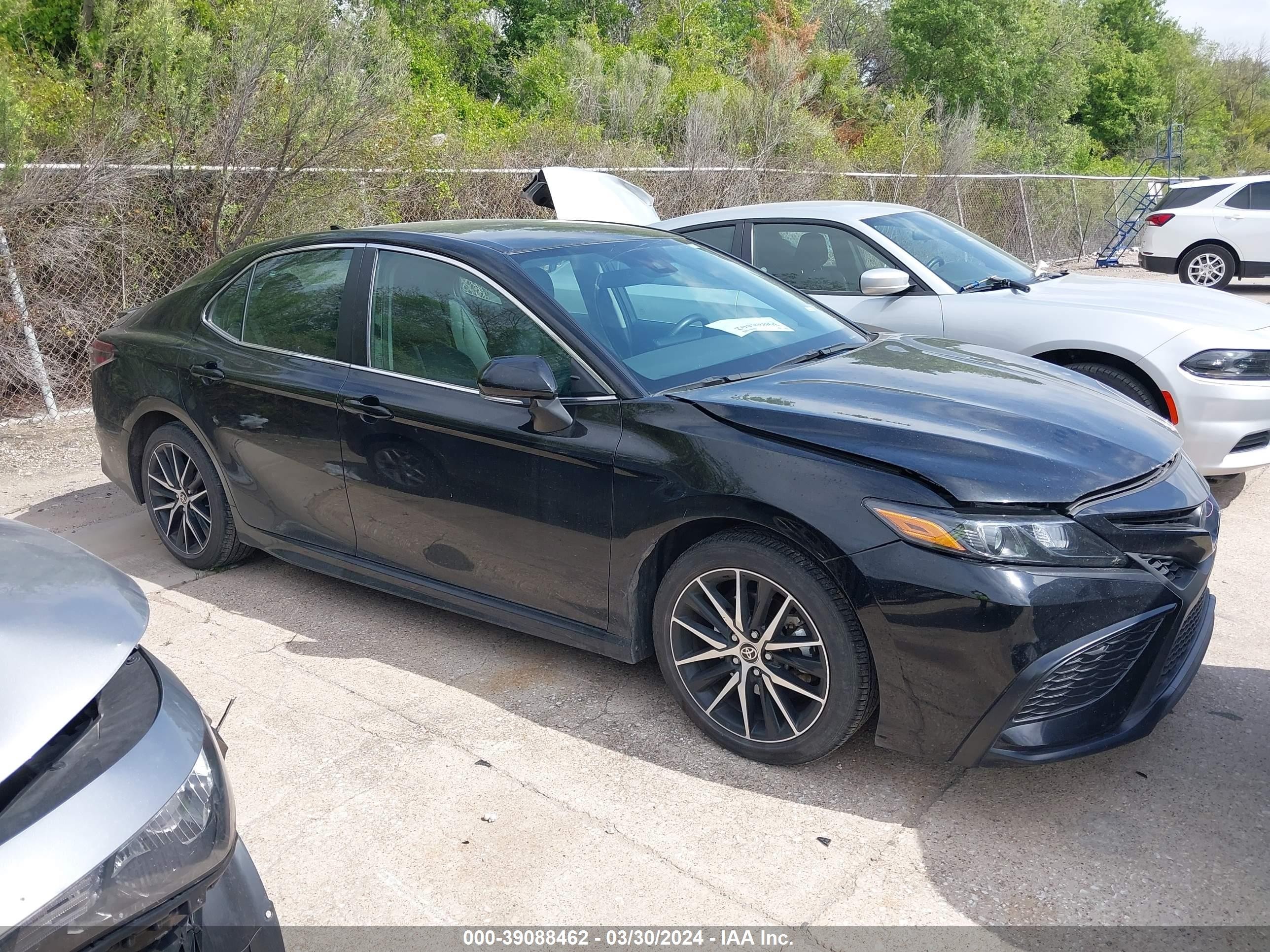 TOYOTA CAMRY 2023 4t1g11ak0pu769081