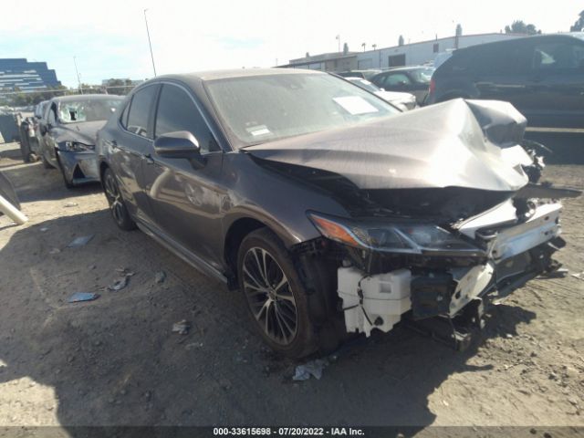 TOYOTA CAMRY 2020 4t1g11ak1lu969185