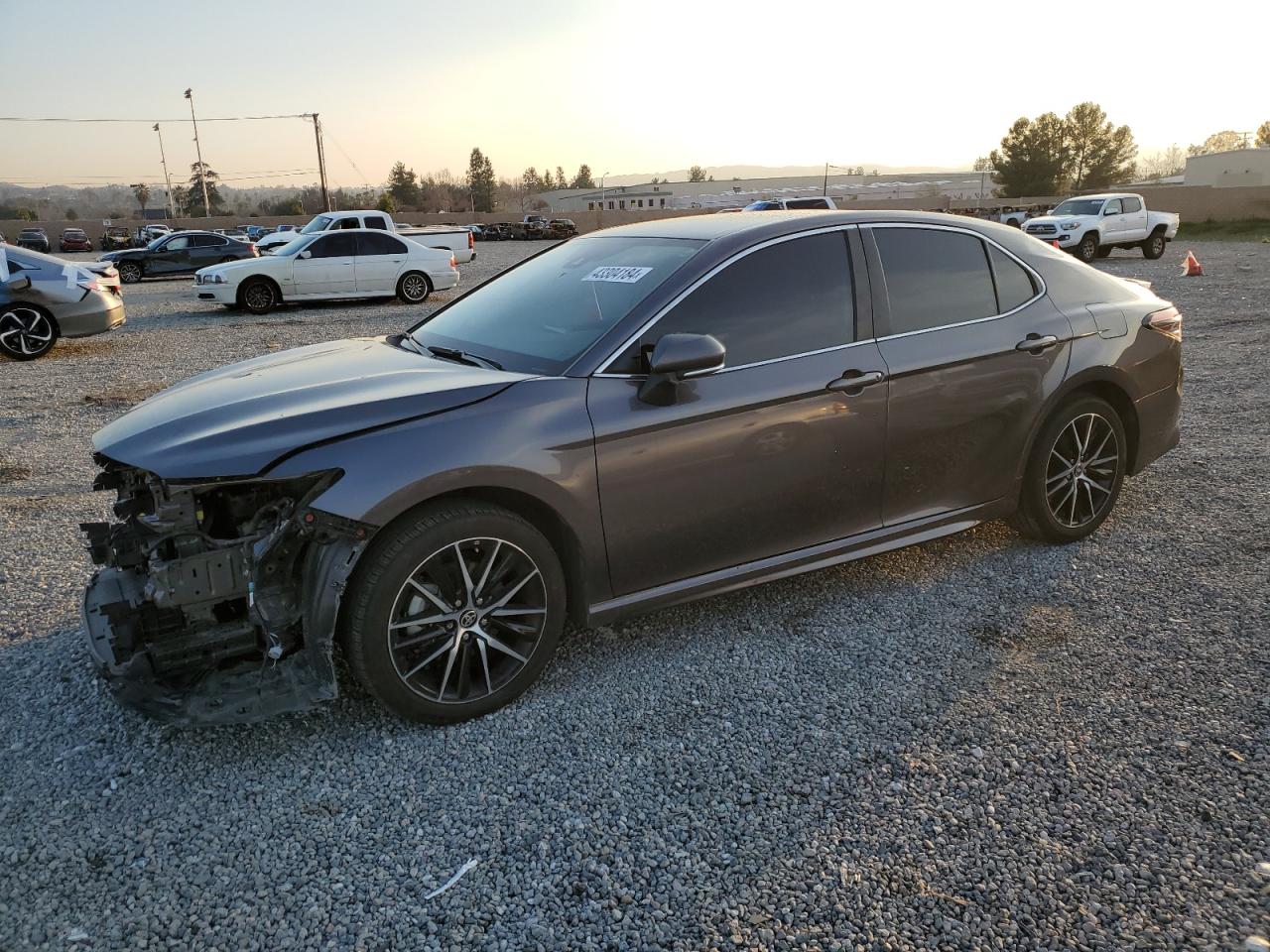 TOYOTA CAMRY 2023 4t1g11ak1pu754007