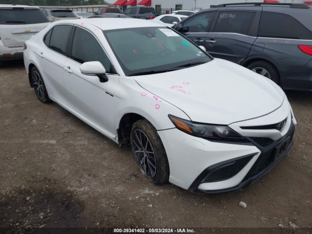 TOYOTA CAMRY 2024 4t1g11ak1ru880516